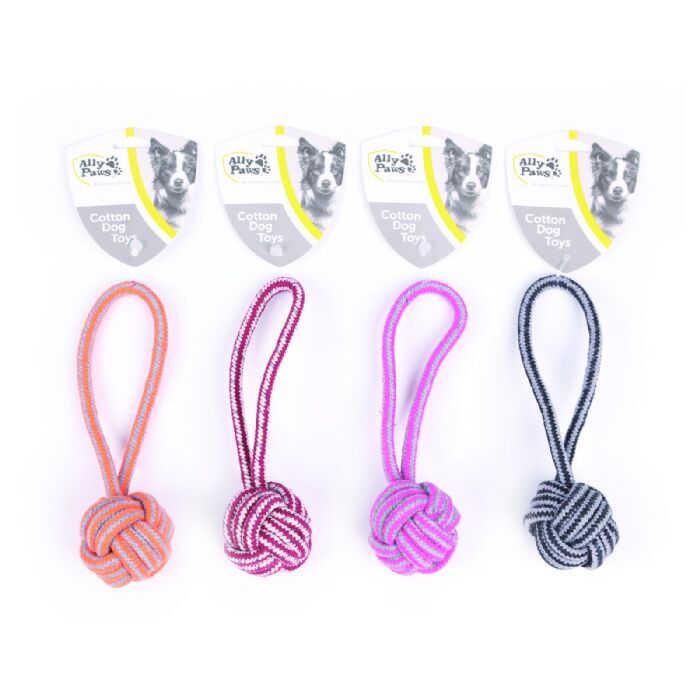 Ally Paws Köpekler İçin Diş İpi 20Cm