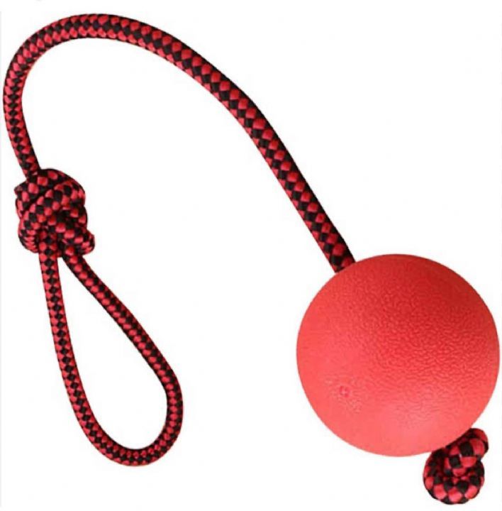  Nunbell Köpek Oyun.Sert Top 155Gr