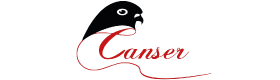Kedi Aksesuar ve Oyuncakları Toptan Satış - Canser